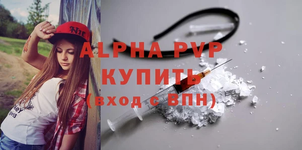 шишки Магас