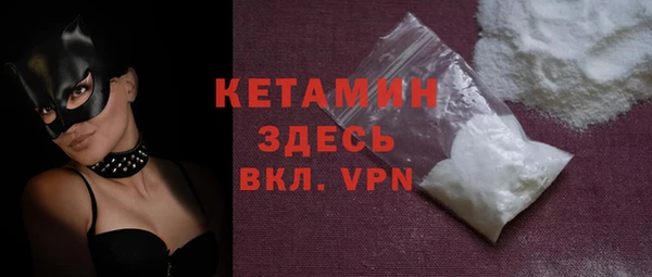 шишки Магас