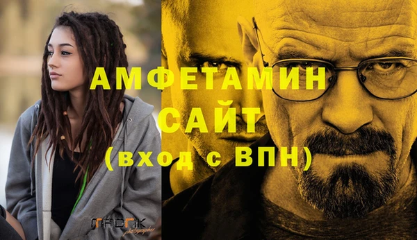 шишки Магас