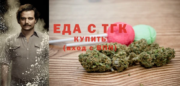 шишки Магас