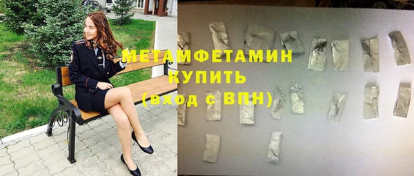 шишки Магас