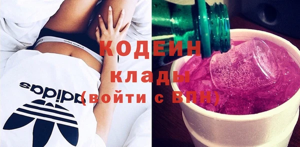 шишки Магас