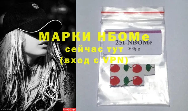 шишки Магас
