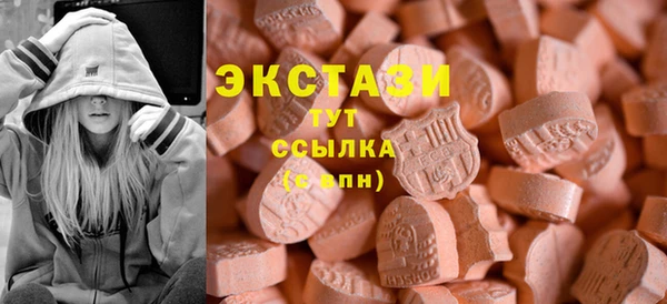 шишки Магас