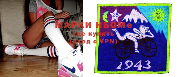 шишки Магас