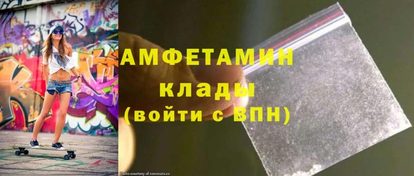 шишки Магас