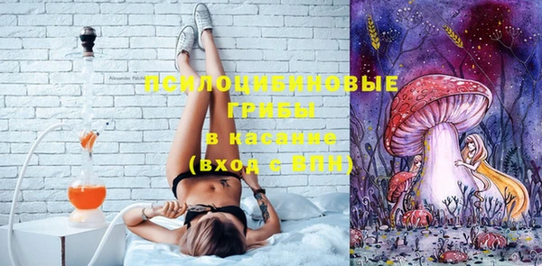 шишки Магас