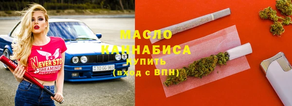 шишки Магас