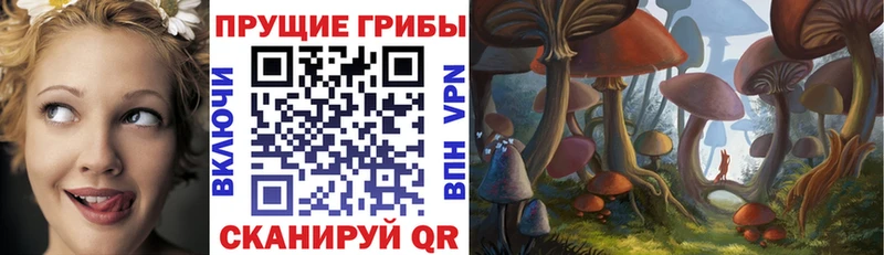 Купить где  Фатеж  Псилоцибиновые грибы Magic Shrooms 